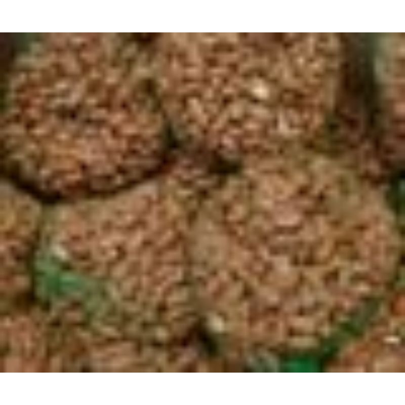 Arachides pelées en filet