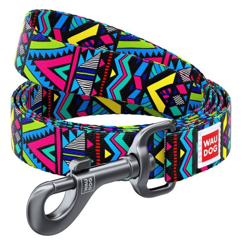 Laisse nylon indie 20mm