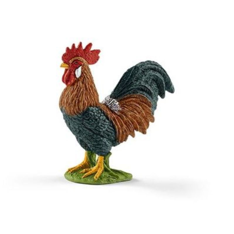 Coq