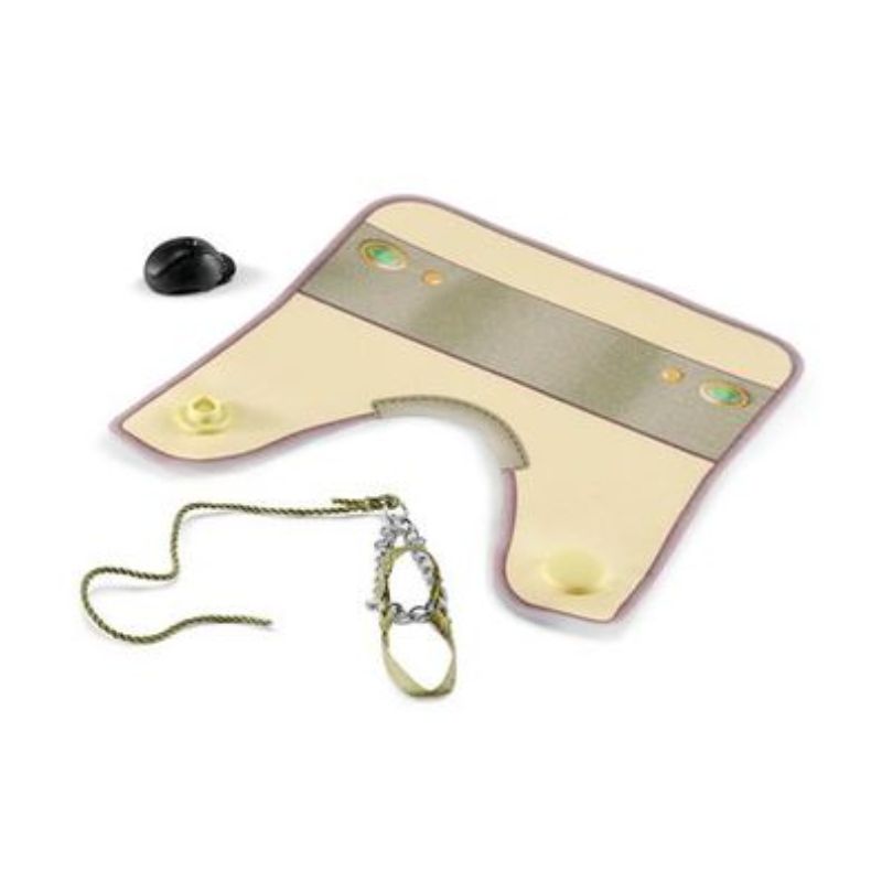 Sarah & Mystery couverture et licol