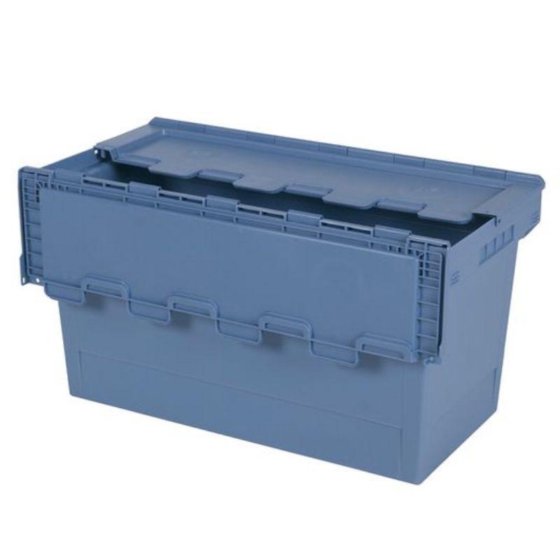 Bac de forçage pour racines de chicons