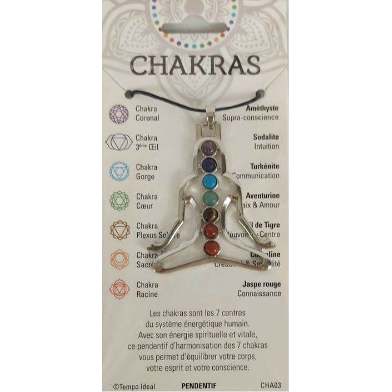 Bijou Chakra Pendentif