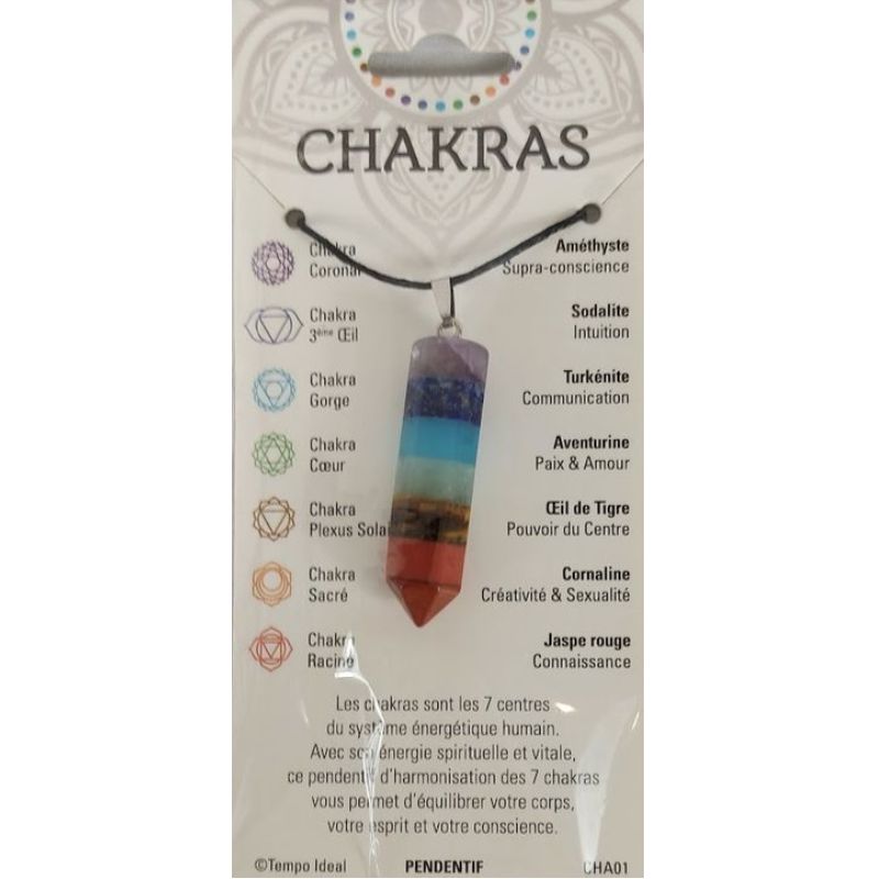 Bijou Chakra Pendentif