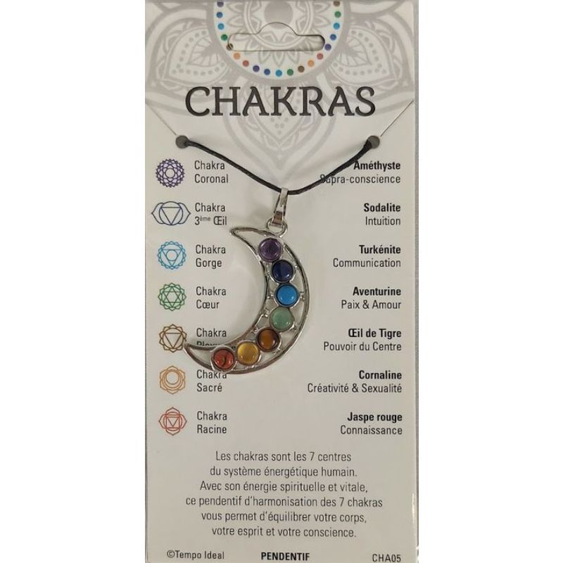 Bijou Chakra Pendentif