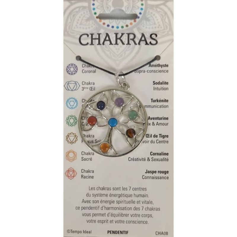 Bijou Chakra Pendentif