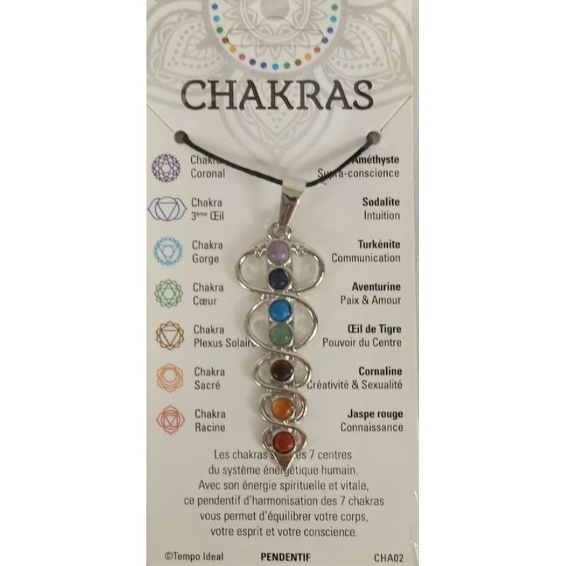 Bijou Chakra Pendentif