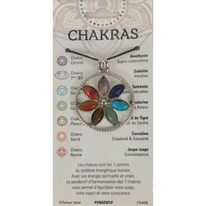 Bijou Chakra Pendentif