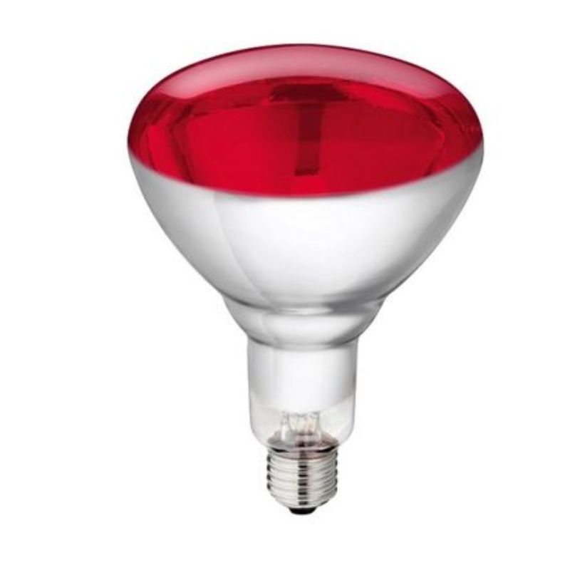 Kerbl Lampe infrarouge en verre Philips 250W