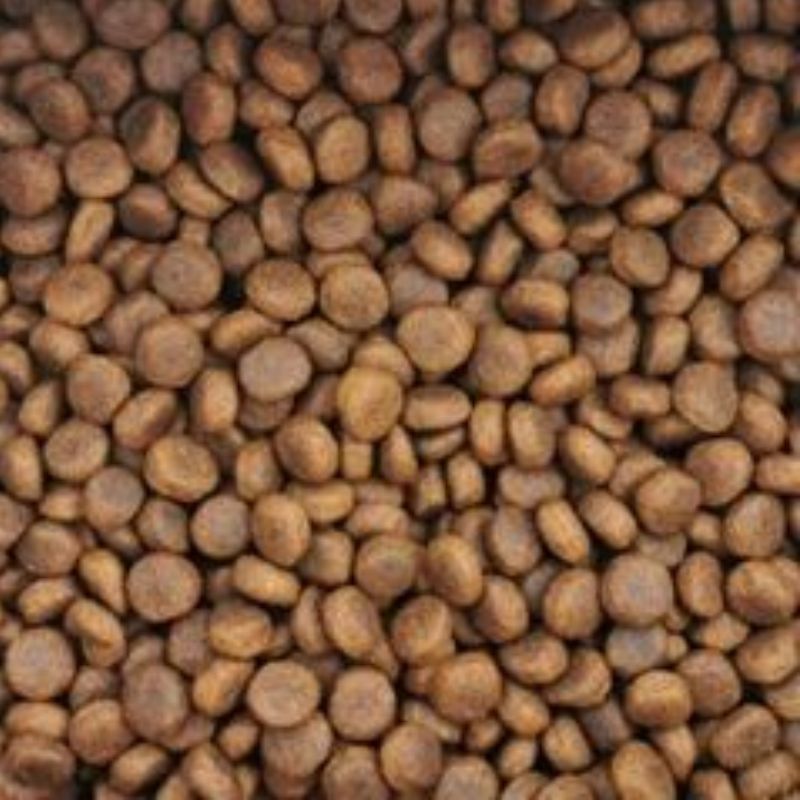 Colonel Gustave chien adulte medium poulet vrac