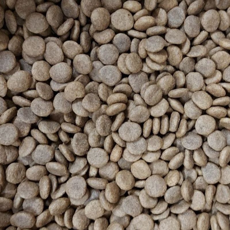 Colonel Gustave chien adulte medium porc vrac