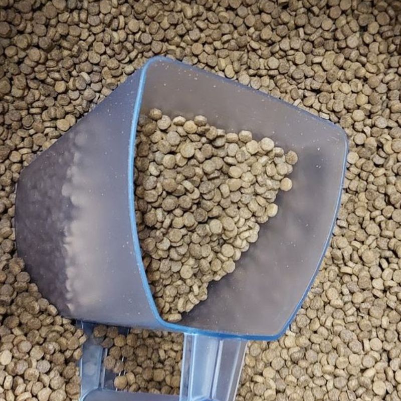 Colonel Gustave chat adulte poulet vrac