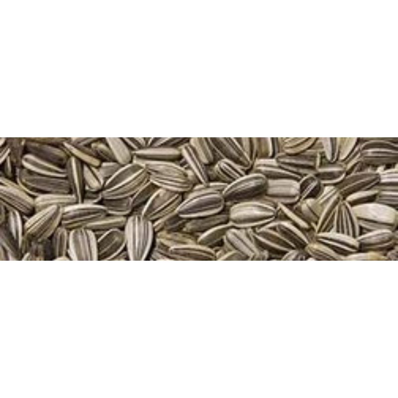 Tournesol strié 3kg