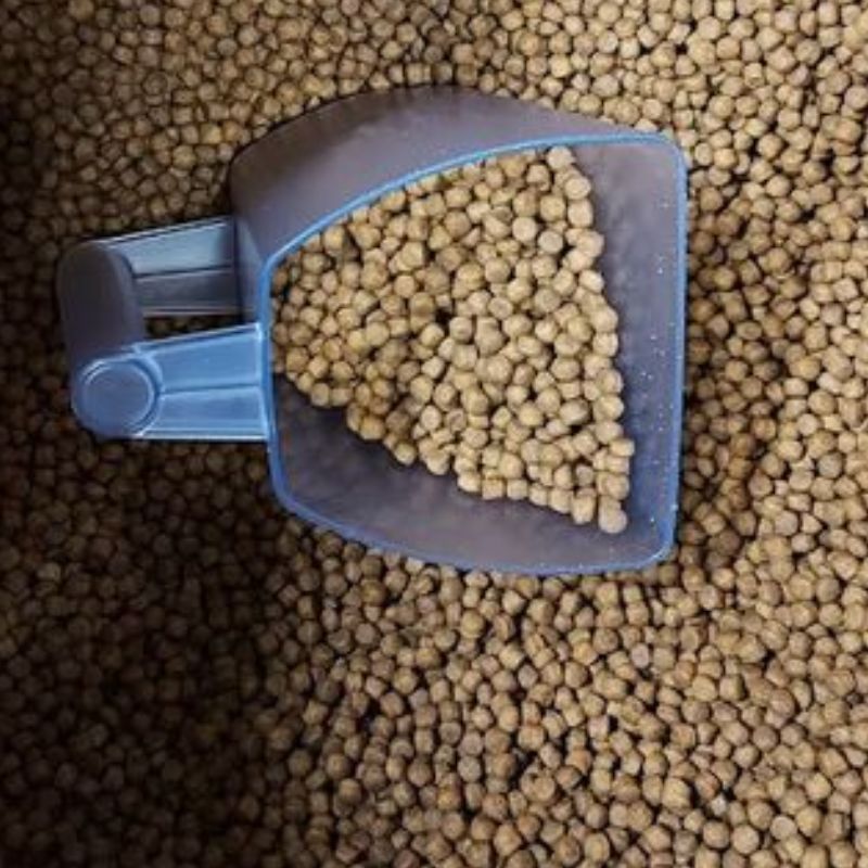 Colonel Gustave chien adulte small poulet vrac