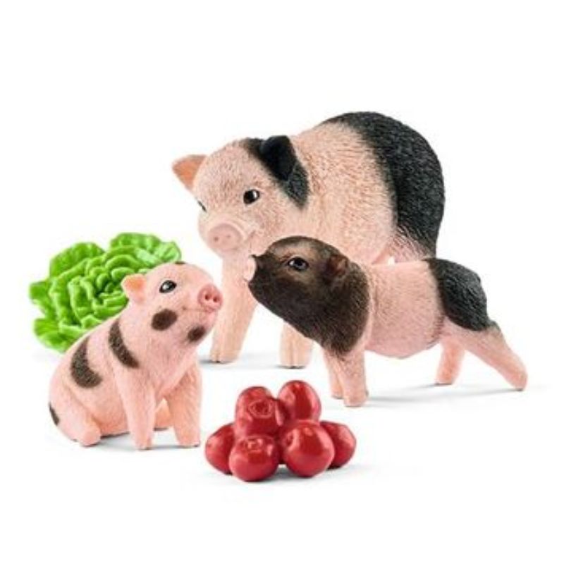 Cochon nain femelle et cochonnets