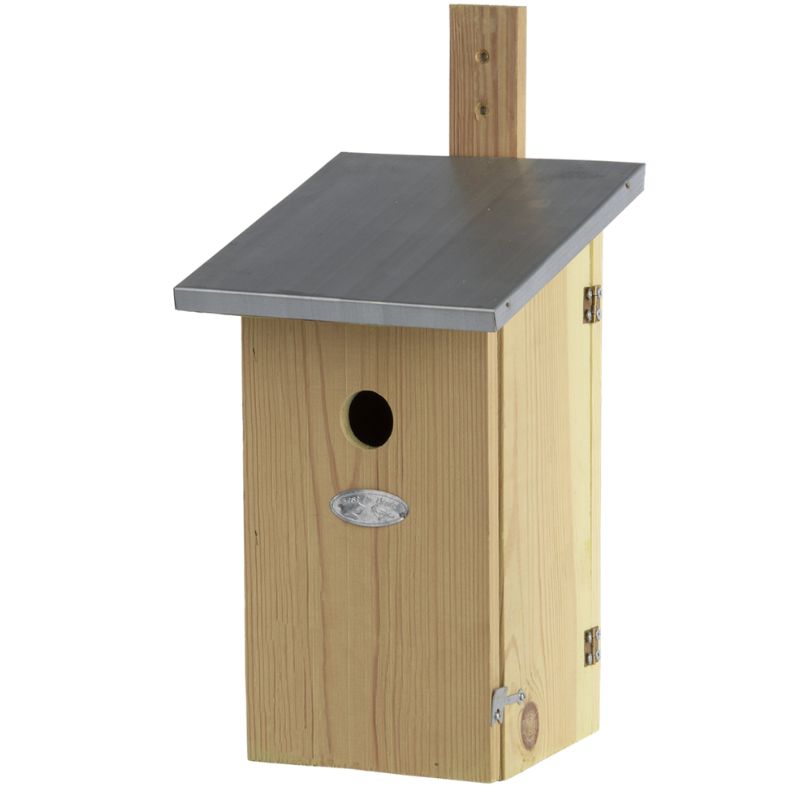 Nichoir observatoire