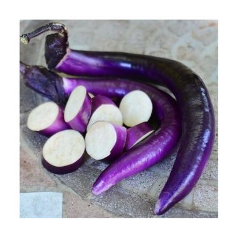 Semailles Aubergine Japanese Pickling