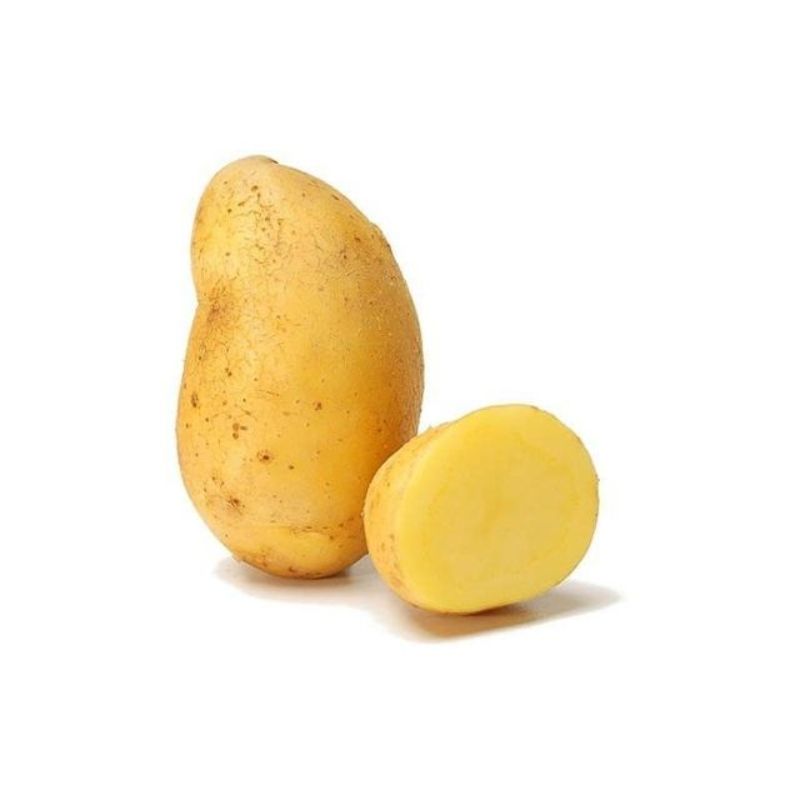 Semailles Pomme de terre Nicola 1kg