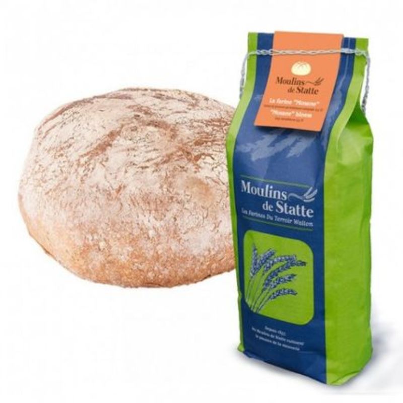 Statte farine grise Mosane 25kg
