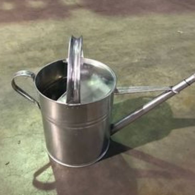 Arrosoir galvanisé rond + pomme 10L