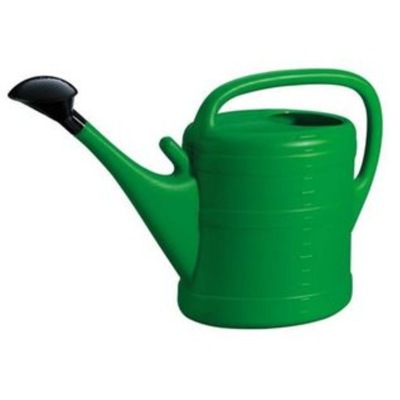 Arrosoir plastique vert 3L