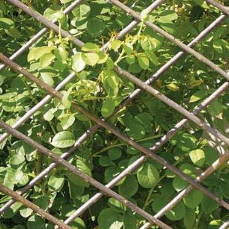 Treillis extensible osier 1.80x0.9m