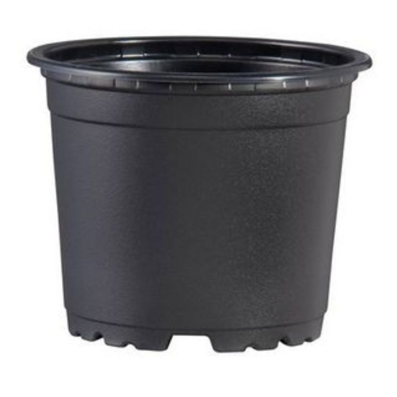 Pot plastique 10cm