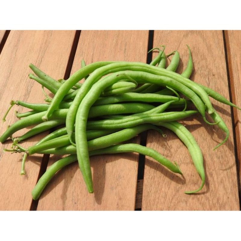 Semailles Haricot Cupidon