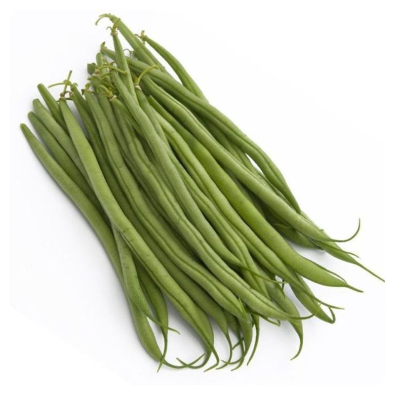 Semailles Haricot Morgane