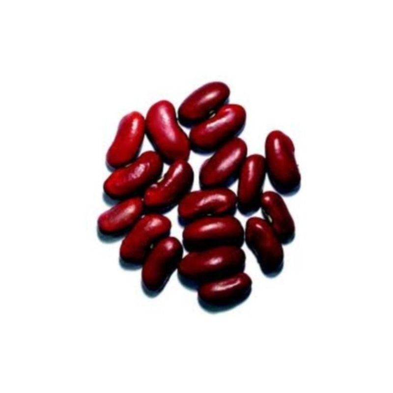 Semailles Haricot nain à écosser Flageolet rouge