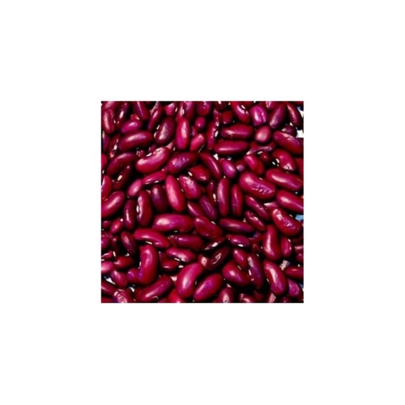 Semailles Haricot nain à écosser Canadian Wonder