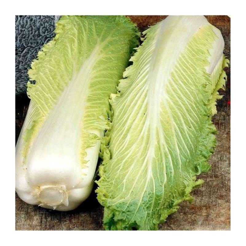 Semailles Chou Chinois Granaat