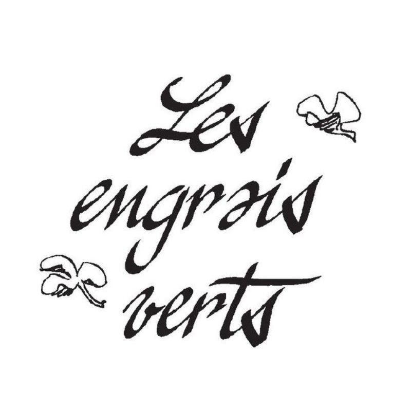 Semailles Mélange Croissance rapide