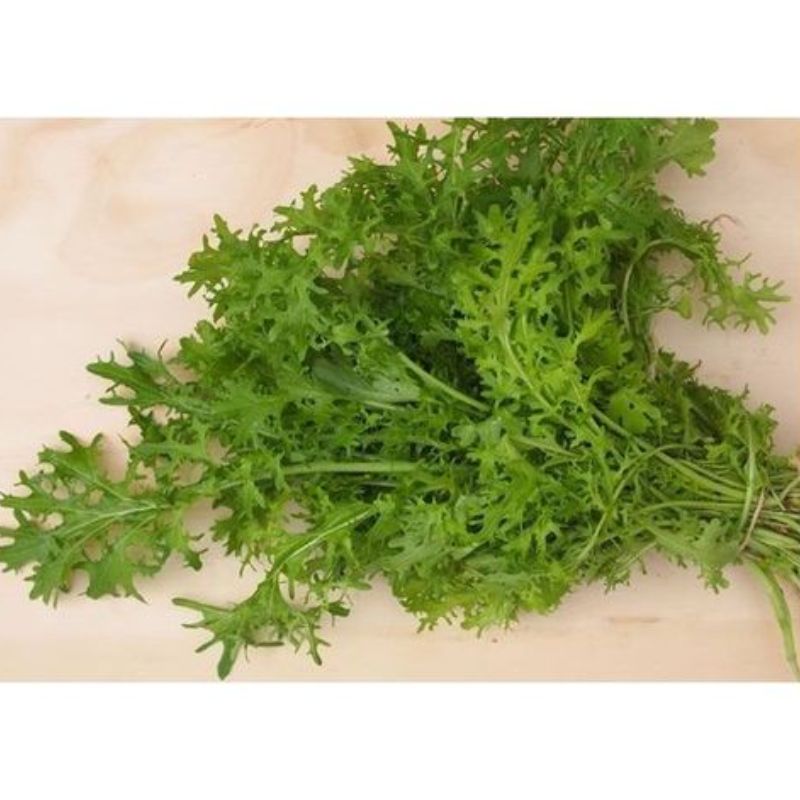 Semailles Moutarde de Chine Golden Frills