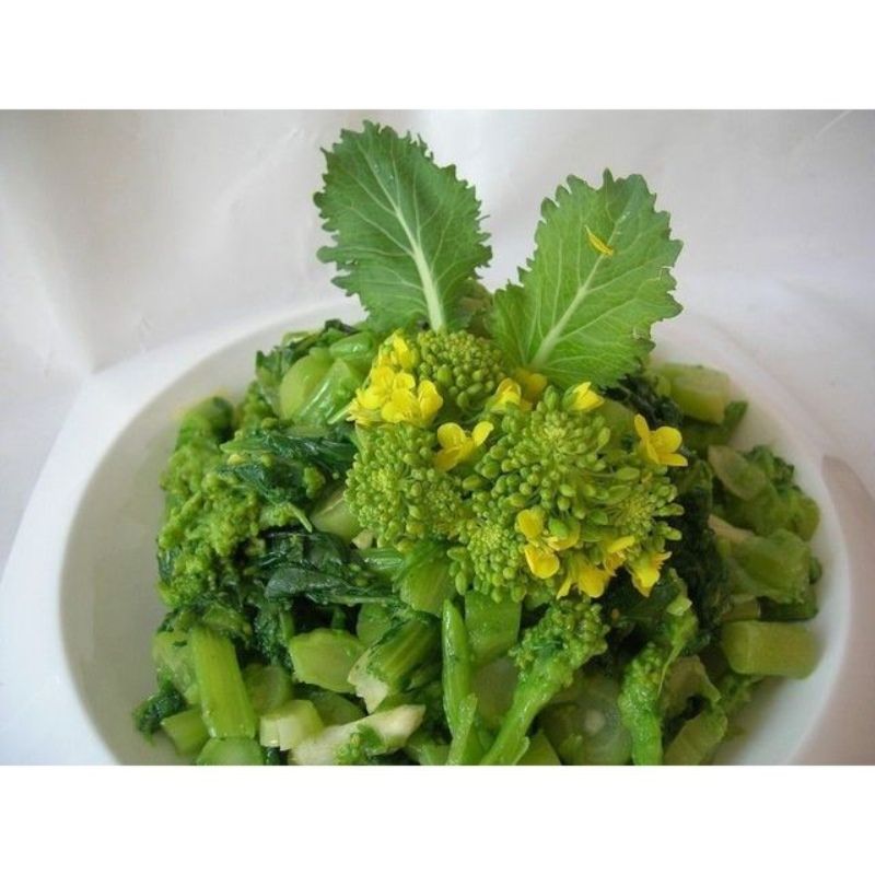 Semailles Navet-feuille cima de rapa