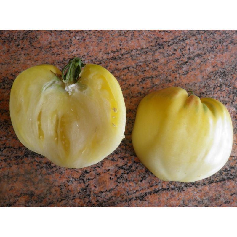 Semailles Tomate Coeur de Boeuf Blanche