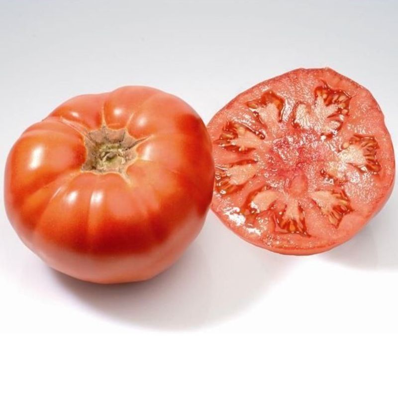 Semailles Tomate Marmande