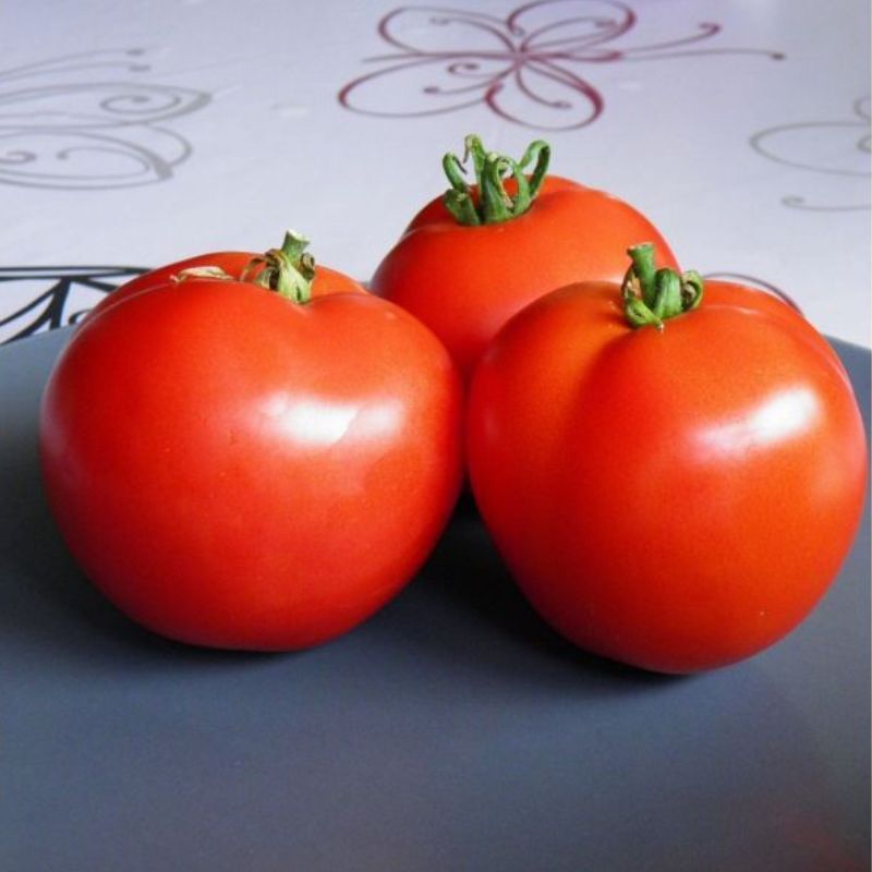Semailles Tomate Merveille des Serres