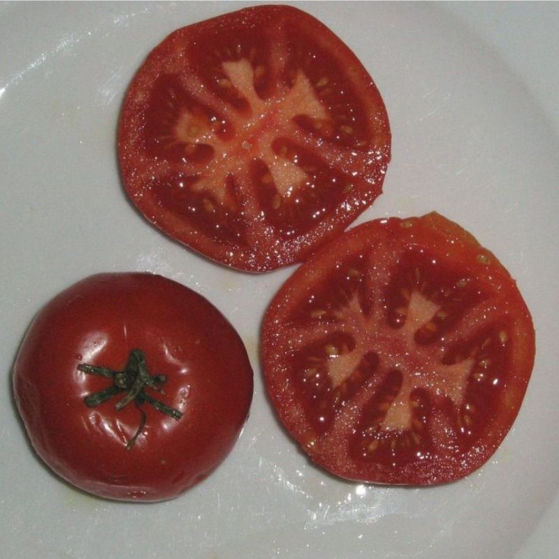 Semailles Tomate Potager de Vilvorde