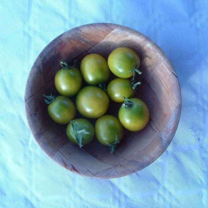 Semailles Tomate Raisin vert