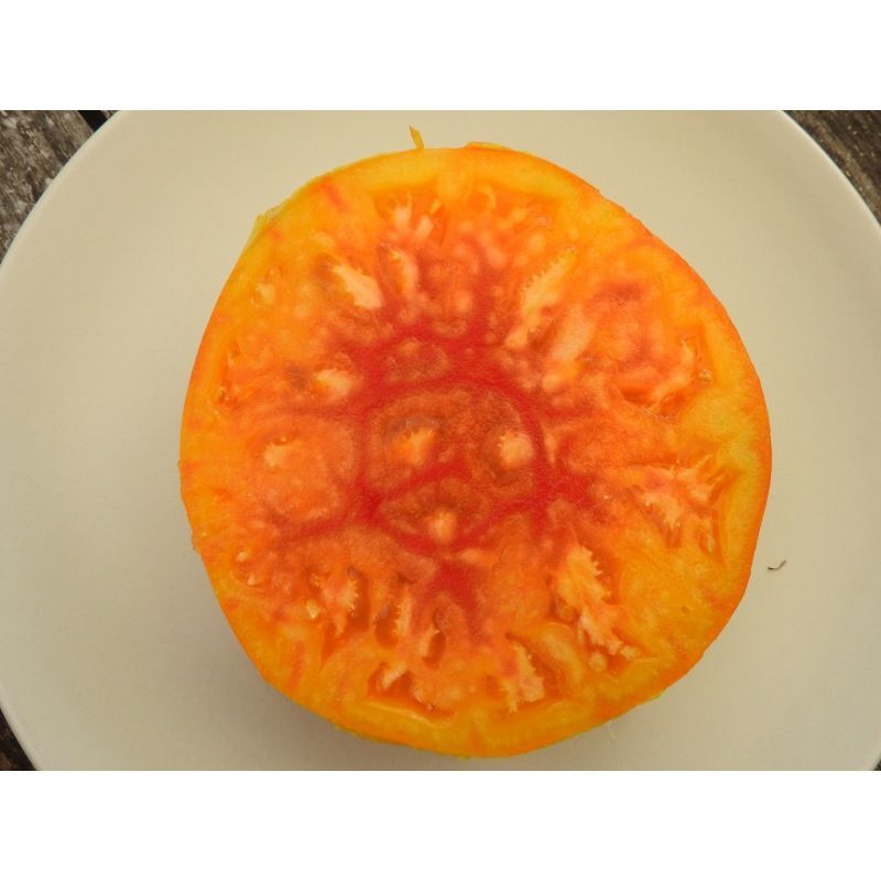 Semailles Tomate Pamplemousse du Grand-Père