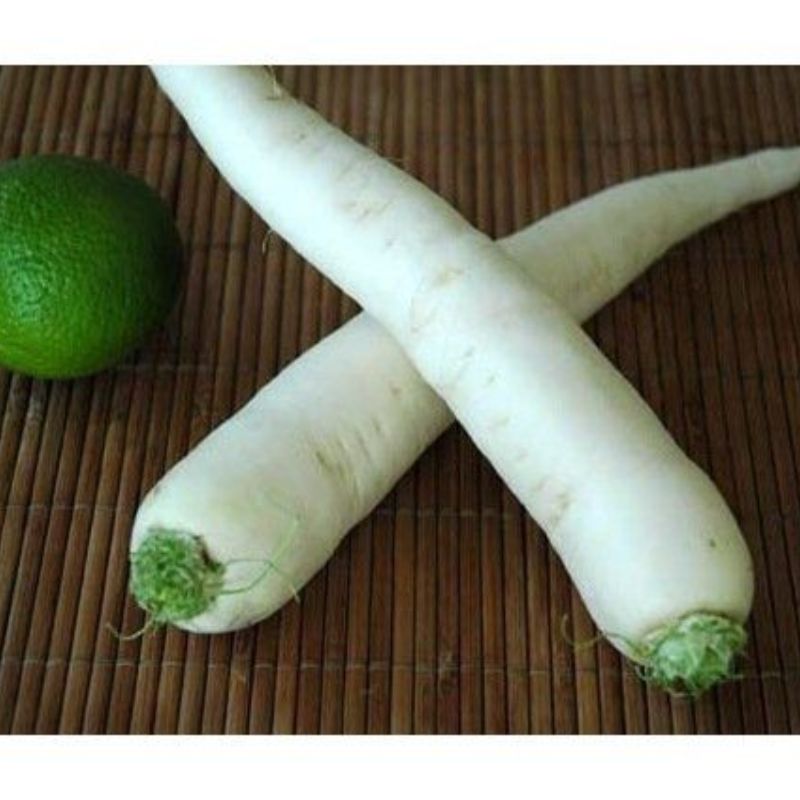 Semailles Radis Daikon "Minowase Summer Cross"