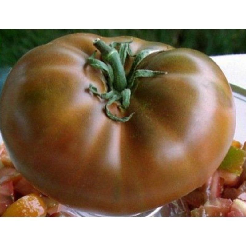 Semailles Tomate Cherokee chocolate