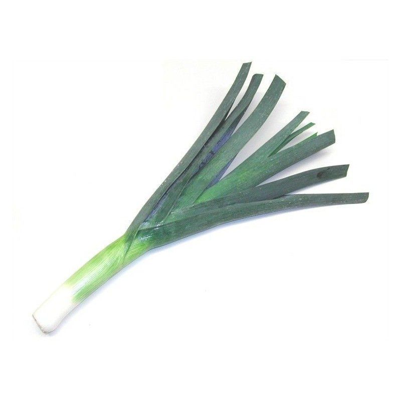 Semailles Poireau Siegfried