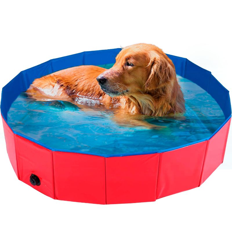 Piscine cooling chien
