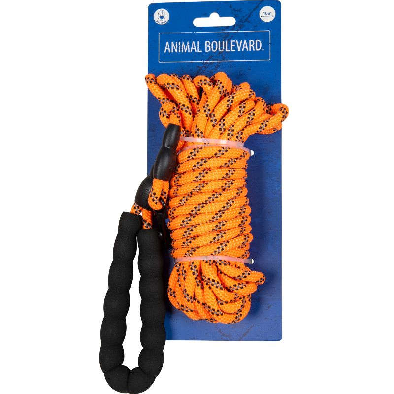 Laisse à pister orange 10M