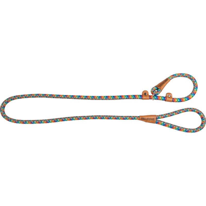 Laisse School Arc en ciel 180cm