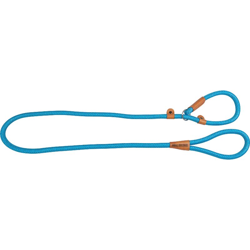 Laisse School Bleu ciel 180cm