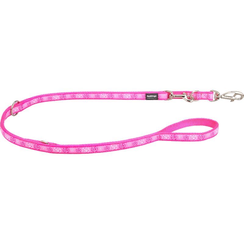 Laisse nylon Paw imprimé rose 2m