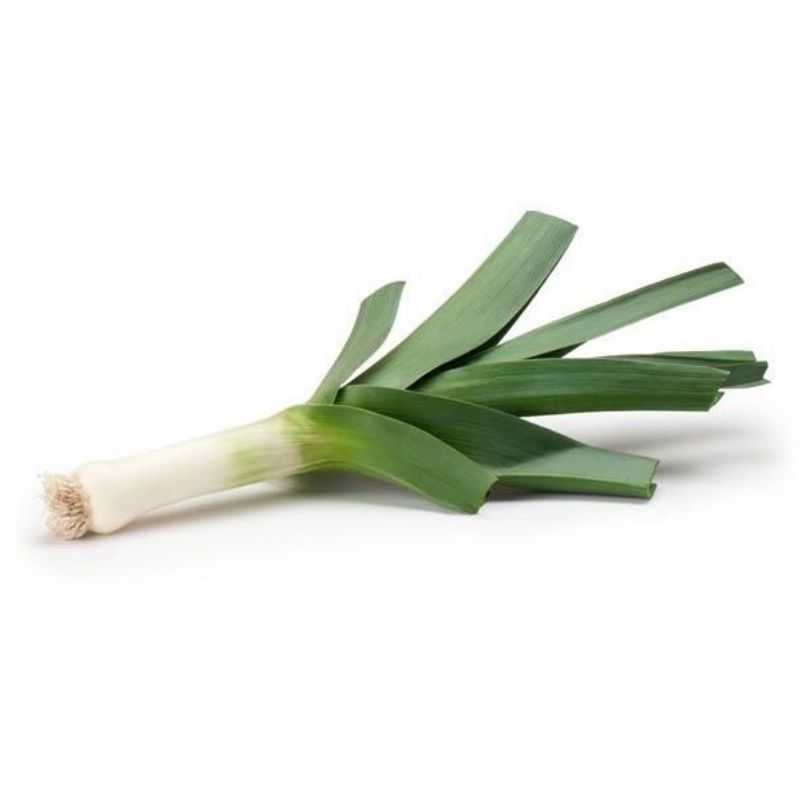 Semailles Poireau Gros vert de Huy