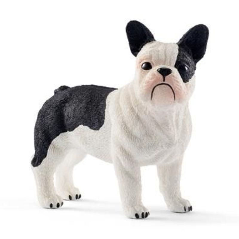 Bouledogue Français